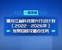【圖解】一圖讀懂黑龍江省科技振興行動(dòng)計(jì)劃發(fā)展目標(biāo)及重點(diǎn)任務(wù)