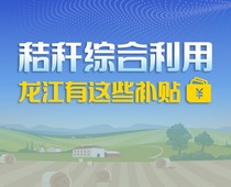 【圖解】秸稈綜合利用,，龍江有這些補(bǔ)貼