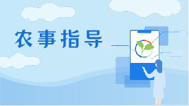 農(nóng)事指導(dǎo)