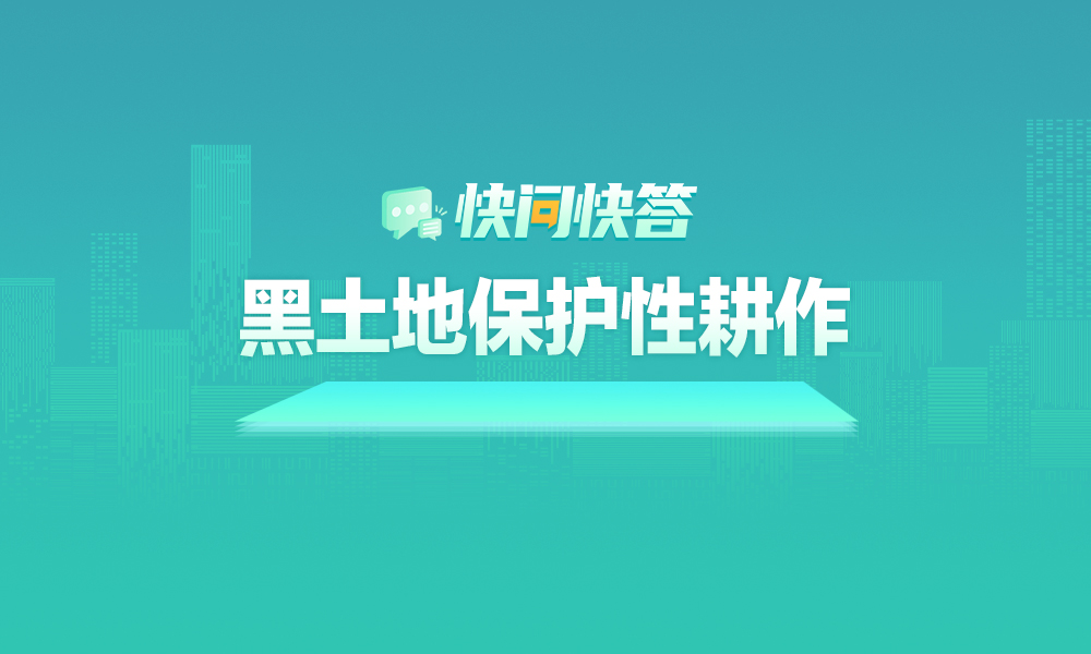 關(guān)于黑龍江省2025年黑土地保護(hù)性耕作，快問(wèn)快答幫您解答！