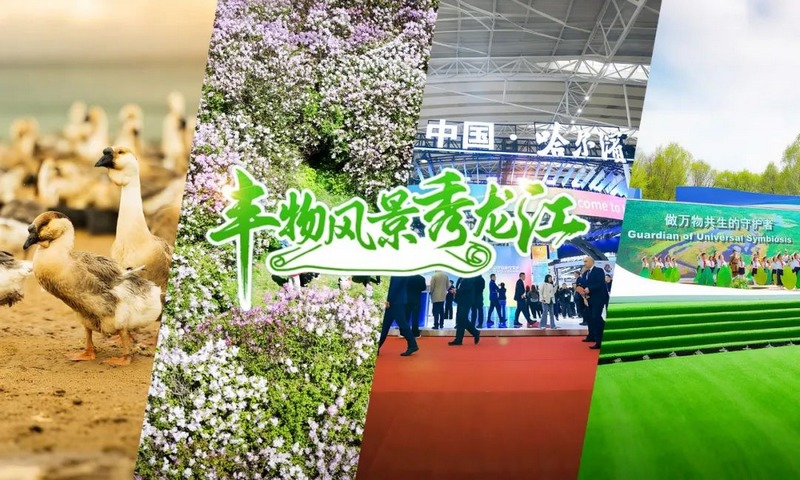 豐物風(fēng)景秀龍江｜黑土地的沃野逐新