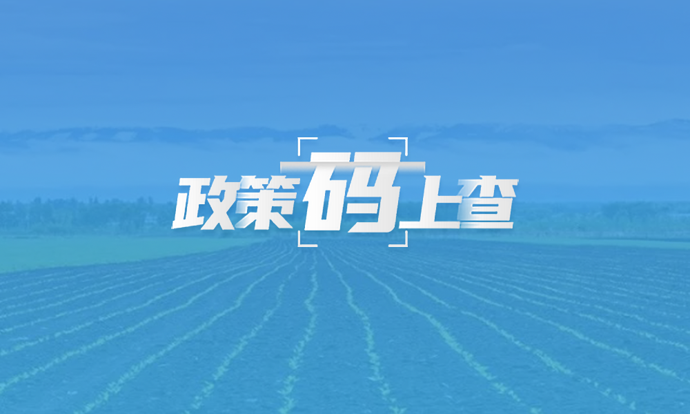 政策碼上查