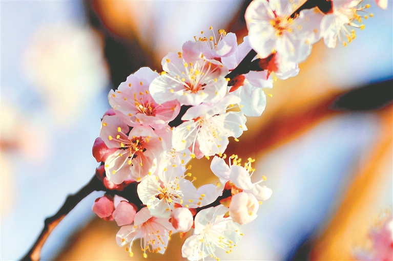 招商項(xiàng)目庫(kù)