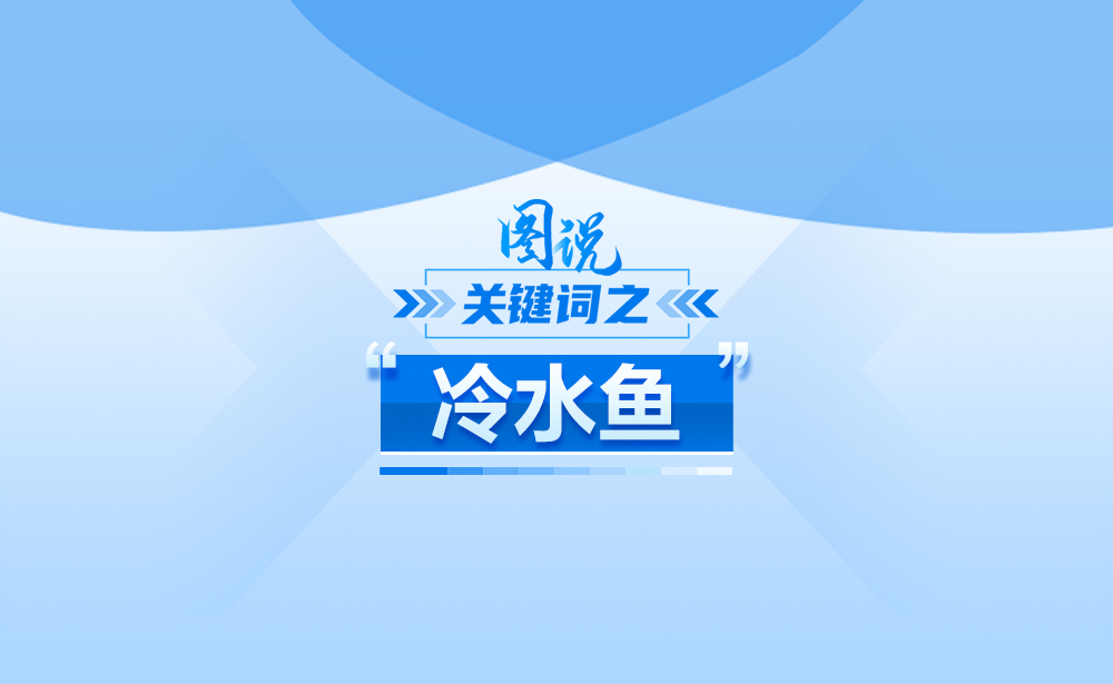 關(guān)于“冷水魚(yú)”,政策點(diǎn)讀帶你了解,!