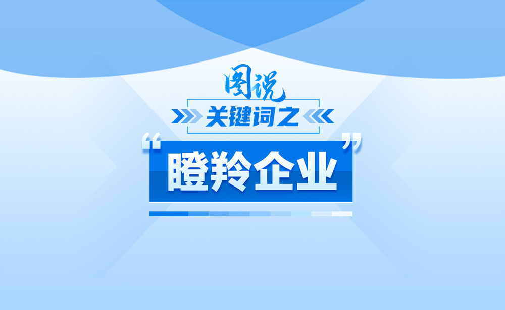關(guān)于“瞪羚企業(yè)”,政策點(diǎn)讀帶你了解,!