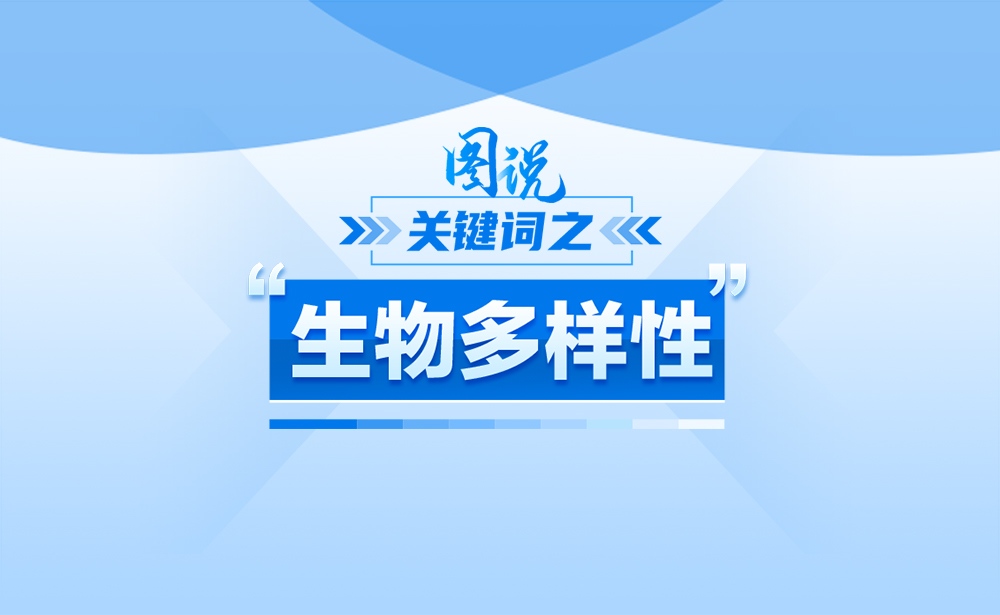 什么是“生物多樣性”？政策點(diǎn)讀帶你一起了解！