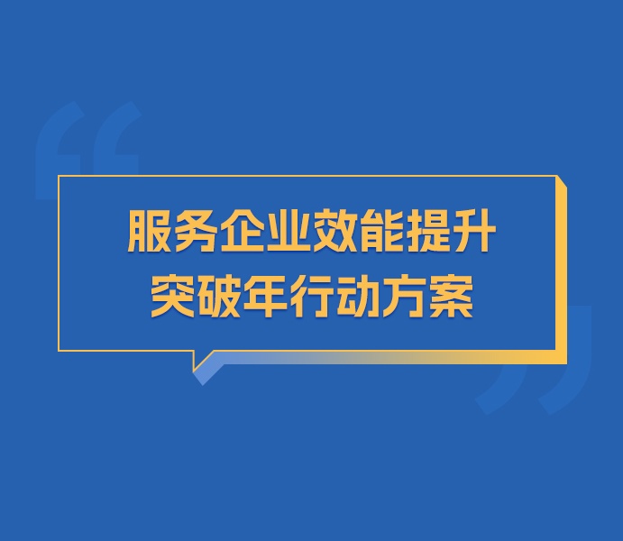 【圖解】黑龍江省服務(wù)企業(yè)效能提升突破年行動方案